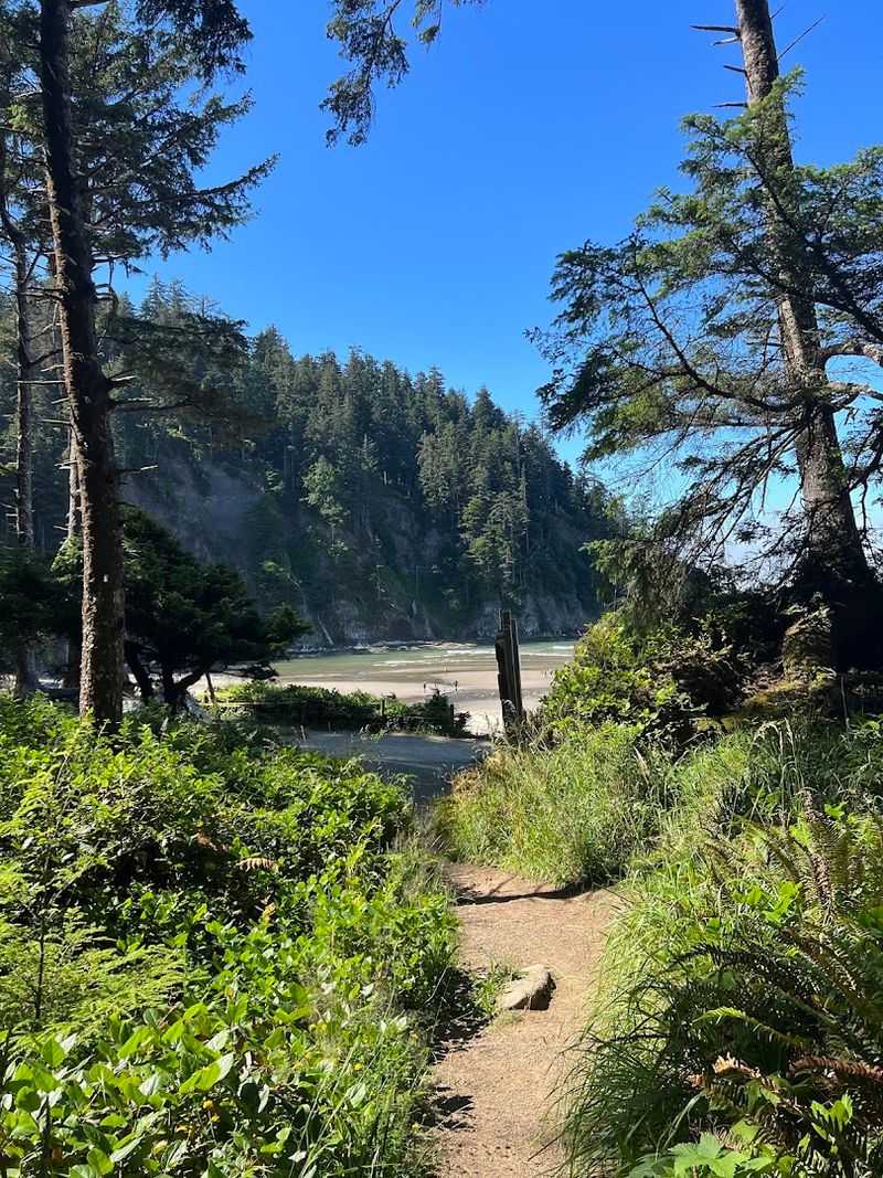 Short Sands Beach, Oswald West State Park, Oregon