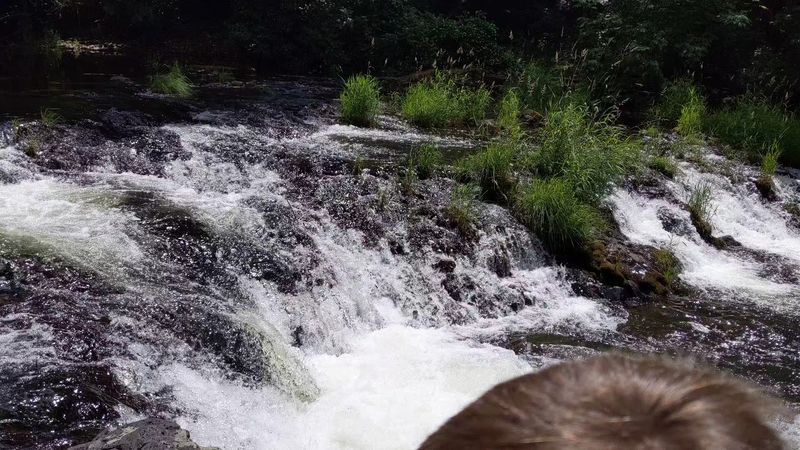 Silver Falls State Park, Oregon's Most Underrated Wonder Silver Falls State Park, Oregon's Most Underrated Wonder