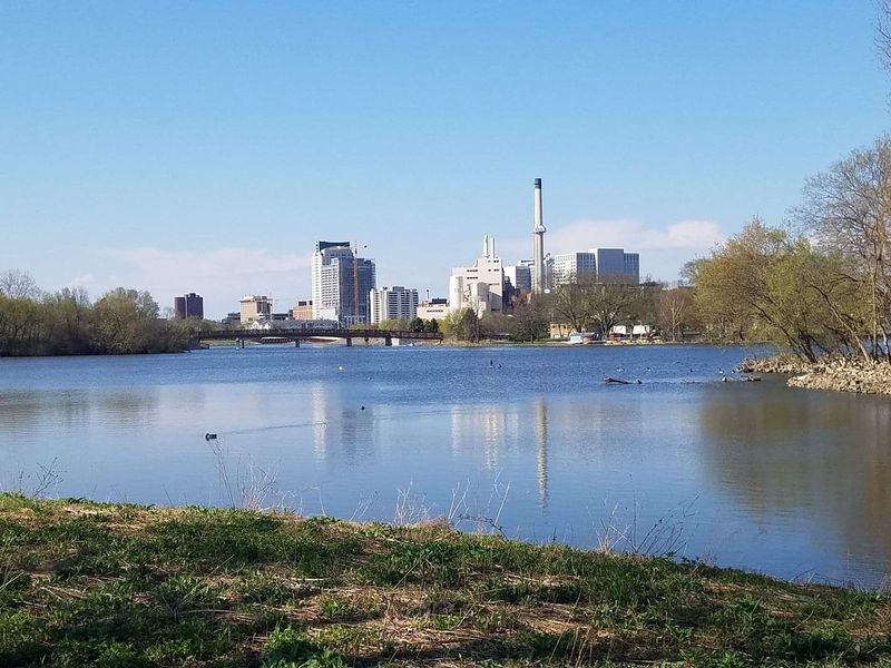 Silver Lake Park and the Famous Trumpeter Swans
