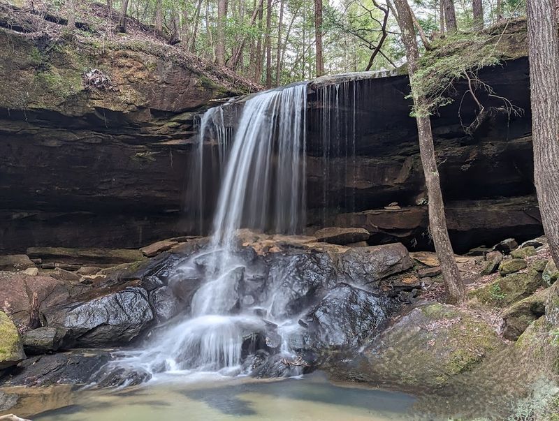 Sipsey Wilderness