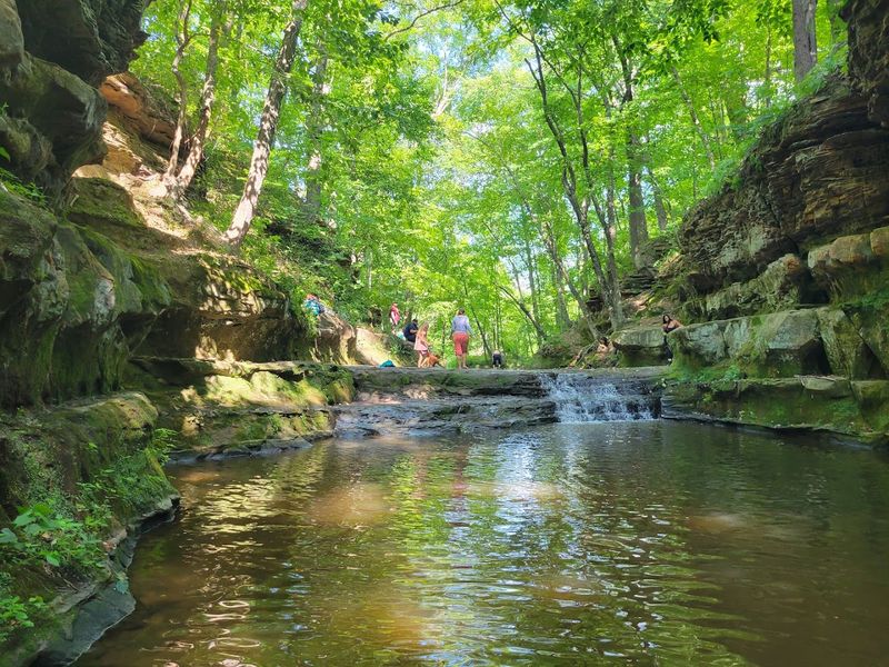 Skillet Creek and the Water You Cannot Resist Skillet Creek and the Water You Cannot Resist