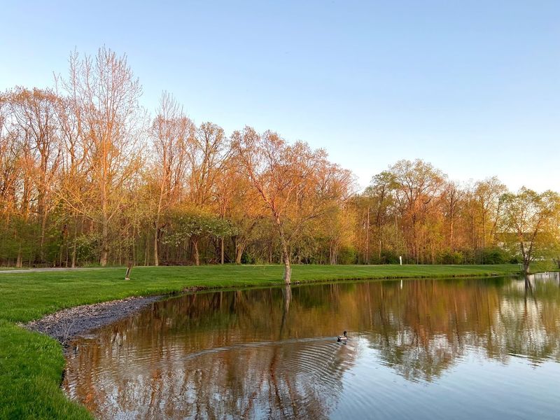 Skip Nothing At Friendship Botanic Gardens
