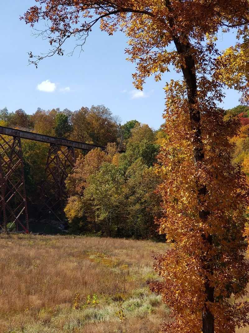 Skip The Crowds And Enjoy A Quiet Family Outing