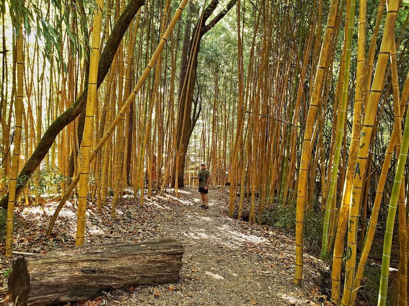 Skip The Crowds And Find Real Quiet Here