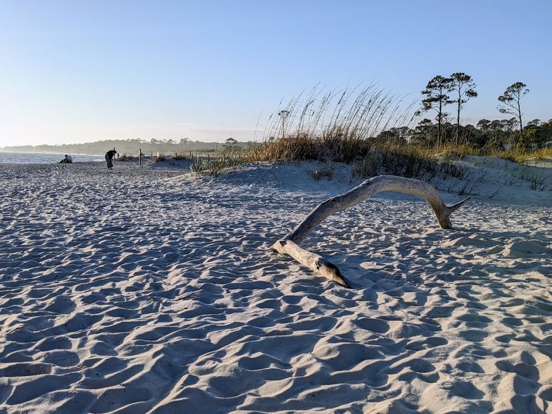 Skip The Souvenir Shops And Collect Real Seashells