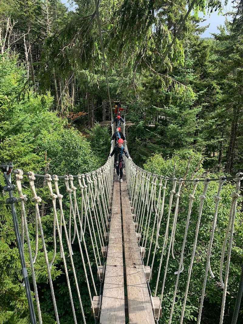 Sky Bridges and Rappels That Keep the Adrenaline Flowing