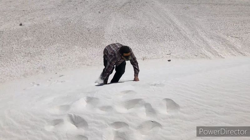 Sledding Down Sand Dunes Is Exactly As Fun As It Sounds