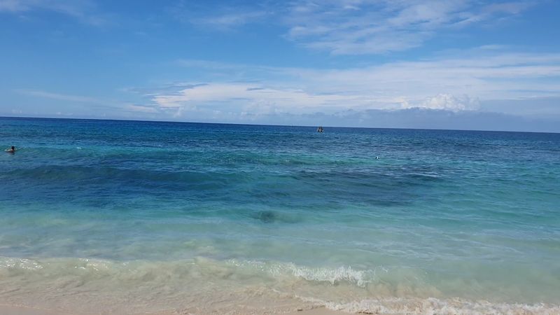 Snorkeling at Makalawena: Sea Turtles and Coral That Will Surprise You