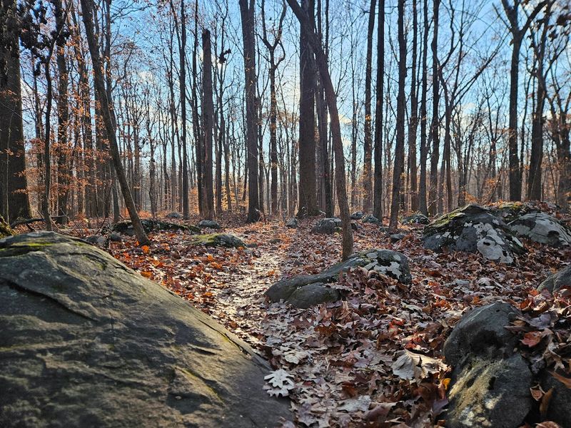 Sourland Mountain Preserve Ridge Trail, Hillsborough Sourland Mountain Preserve Ridge Trail, Hillsborough