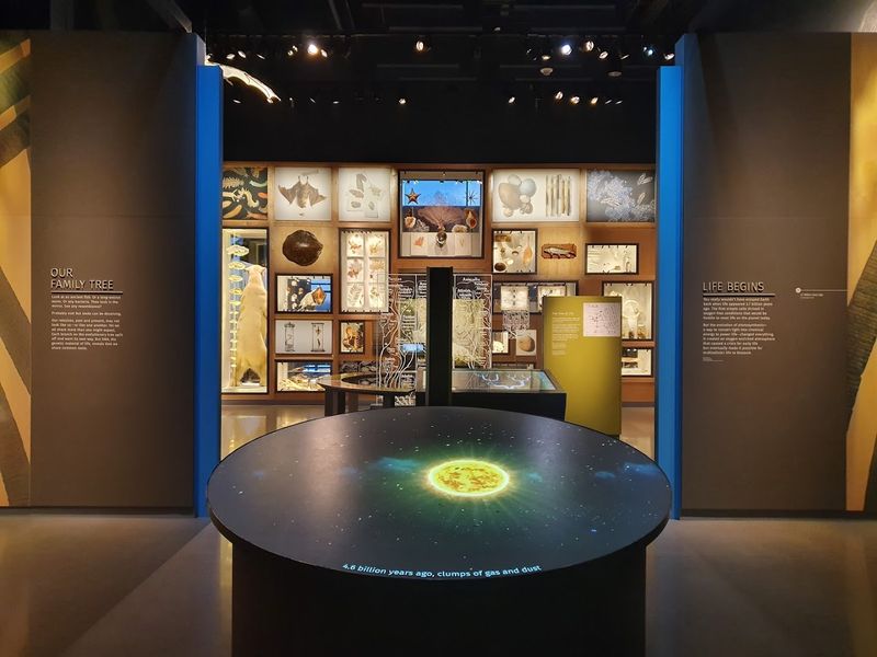 Space and Astronomy Exhibits That Spark Big Questions