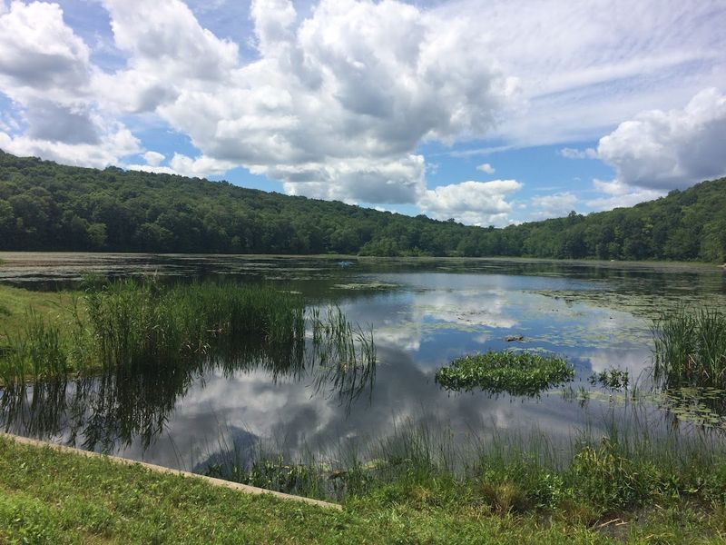 Sparta Mountain Wildlife Management Area Trails