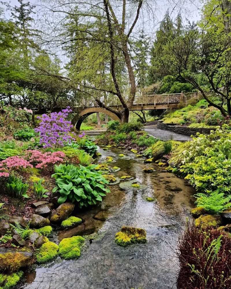 Special Events and the Garden as a Wedding Venue Special Events and the Garden as a Wedding Venue