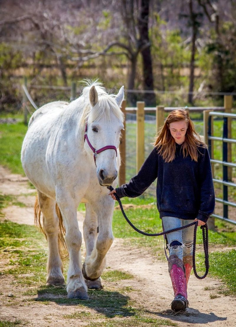 Specialized Riding Lessons and Special Olympics Training