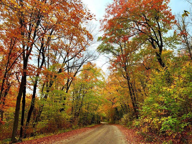 Spectacular Fall Foliage That Draws Visitors Every Year