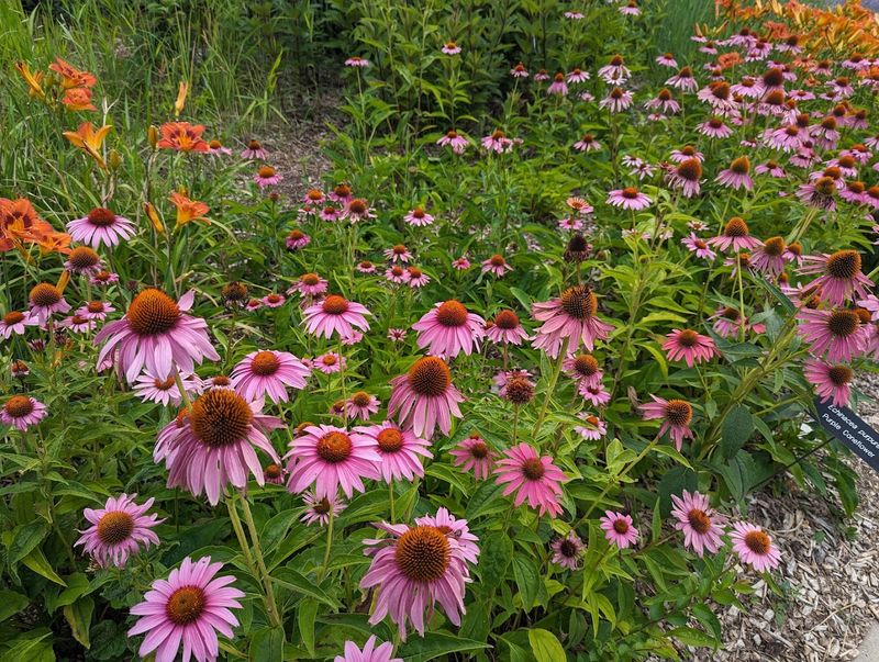 Spectacular Seasonal Gardens That Shift With Every Month Spectacular Seasonal Gardens That Shift With Every Month