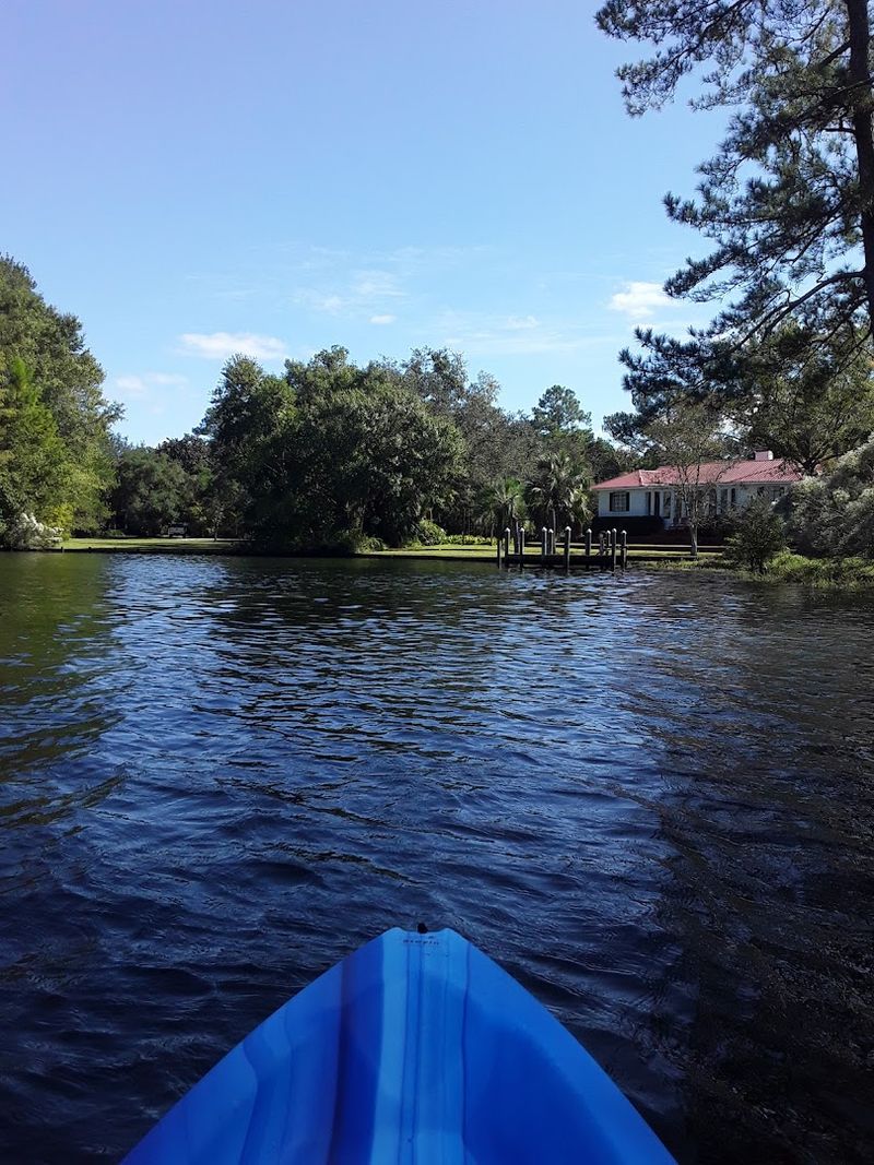Spend a Morning on the Magnolia River, One of Alabama's Cleanest Waterways