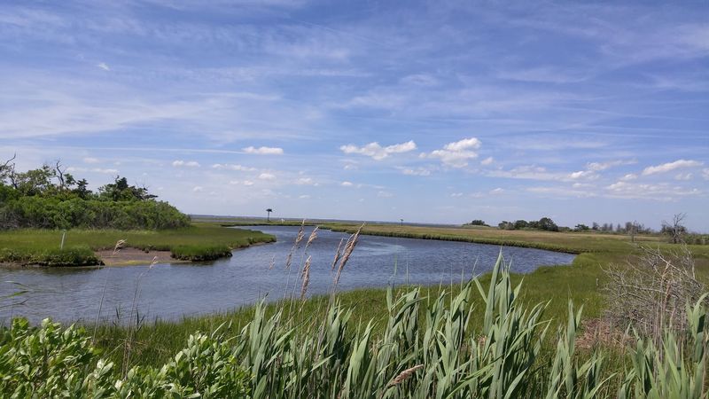 Spizzle Creek Bird Blind Trail, Island Beach State Park