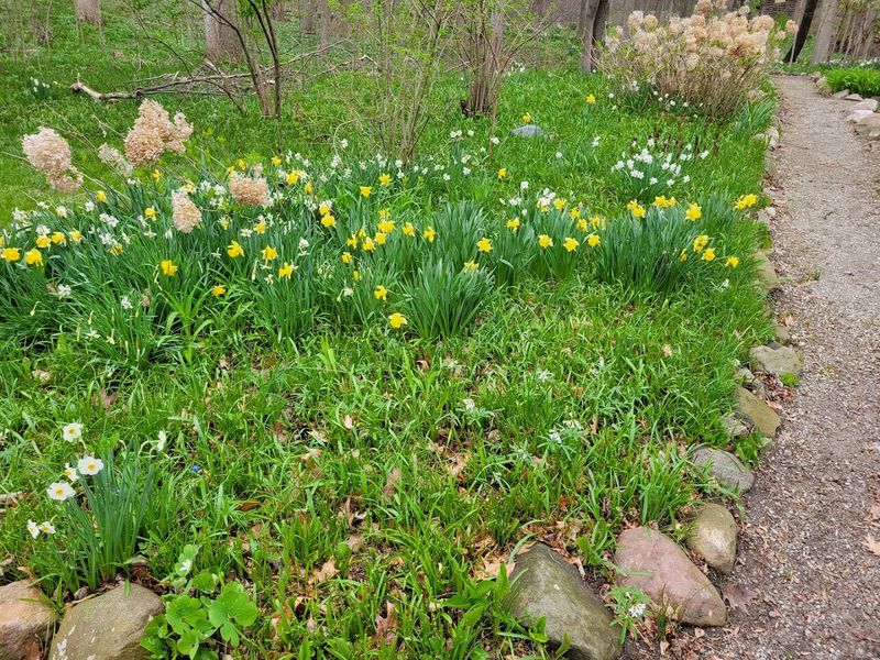 Spot Wildlife at the Dedicated Viewing Area Near the Carriage House