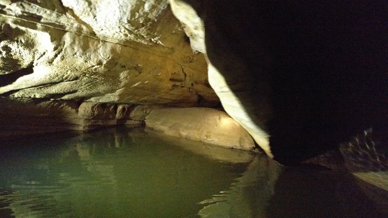 Spotting the Rare and Endangered Blind Cavefish