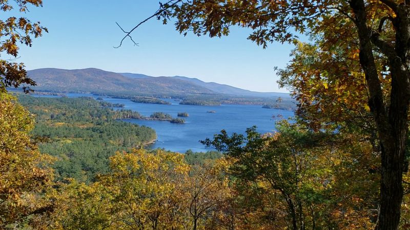 Squam Lake Cruises and the Loons That Will Make Your Jaw Drop