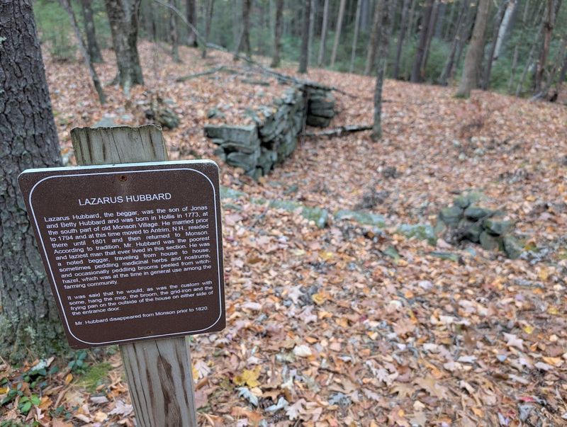 Stone Cellars Hidden Beneath the Forest Floor