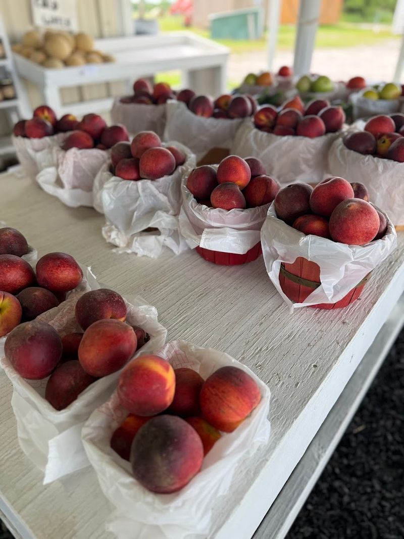 Stratford: Oklahoma's Peach Capital and the Roadside Pastry Paradise Stratford: Oklahoma's Peach Capital and the Roadside Pastry Paradise
