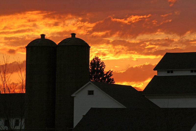 Sunset Does A Lot Of The Heavy Lifting