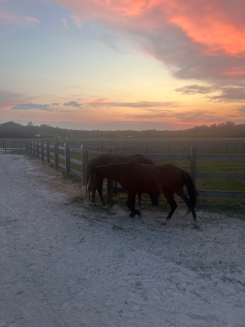 Sunset Rides That Turn an Evening Into Something Memorable