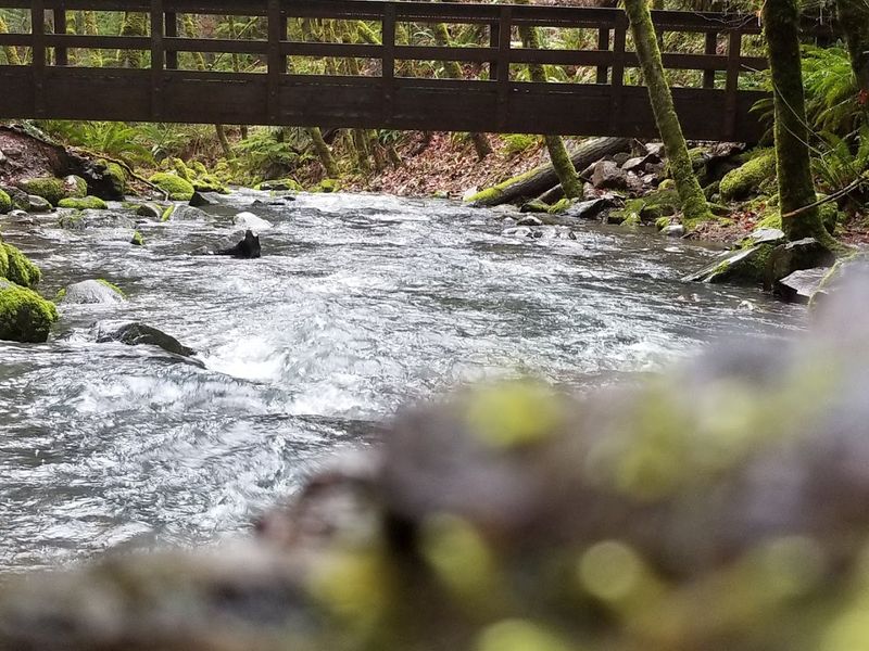 Susan Creek Swimming Hole, North Umpqua River, Oregon