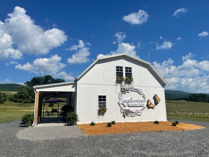 Sustainable Farming Practices That Make a Difference
