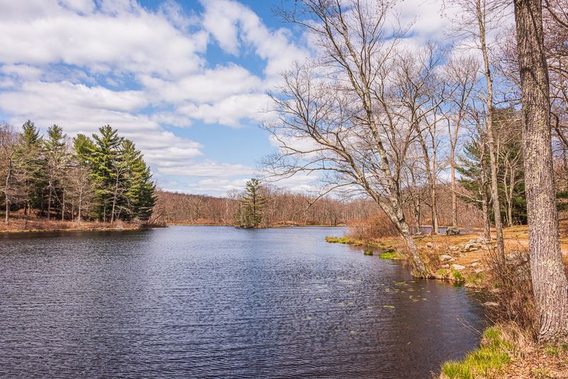 Swimming, Fishing, and the Pond That Anchors It All