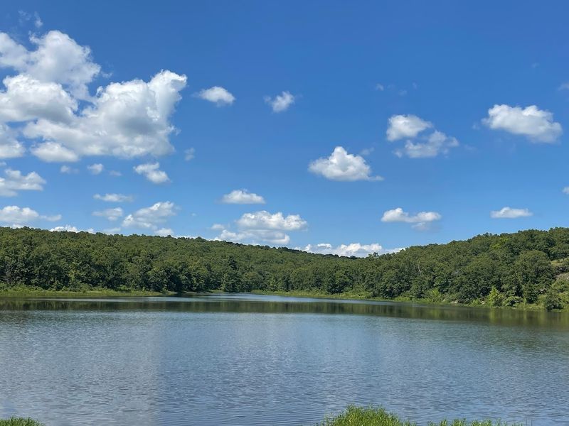 Swimming and Recreation at the Lake