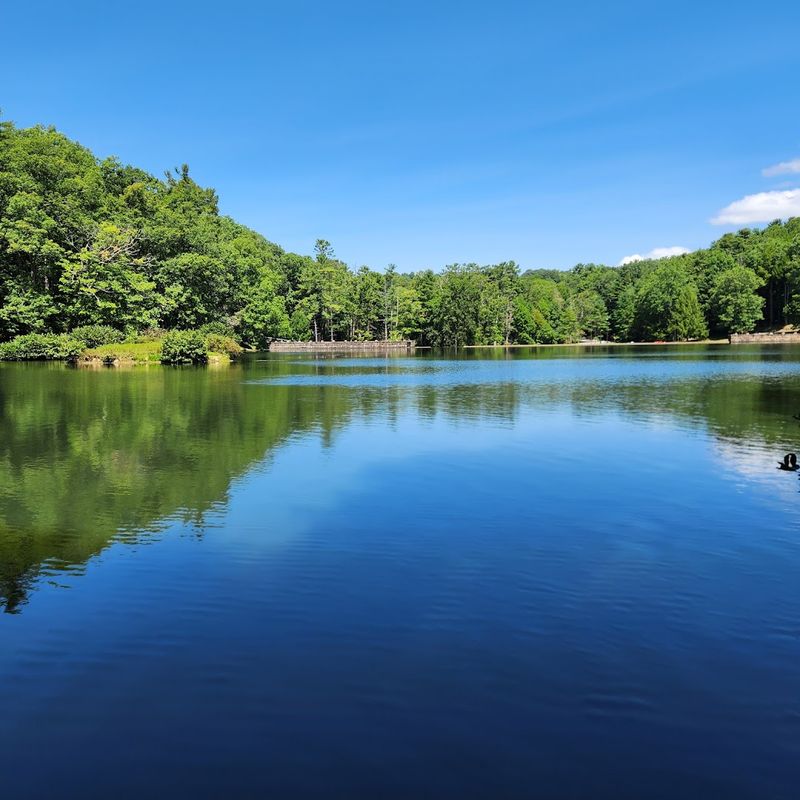 Swimming in Little Beaver Lake