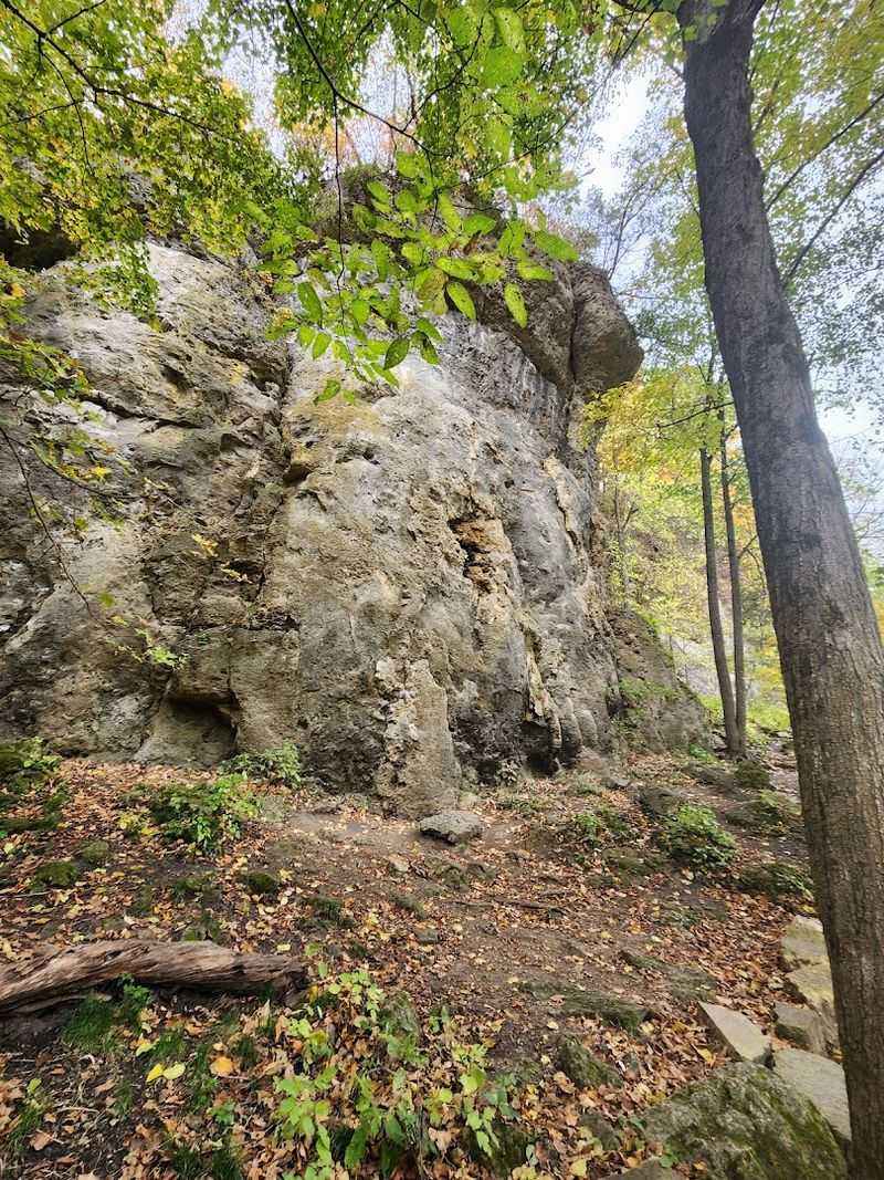 Talus Slopes and the Geology You Can Touch