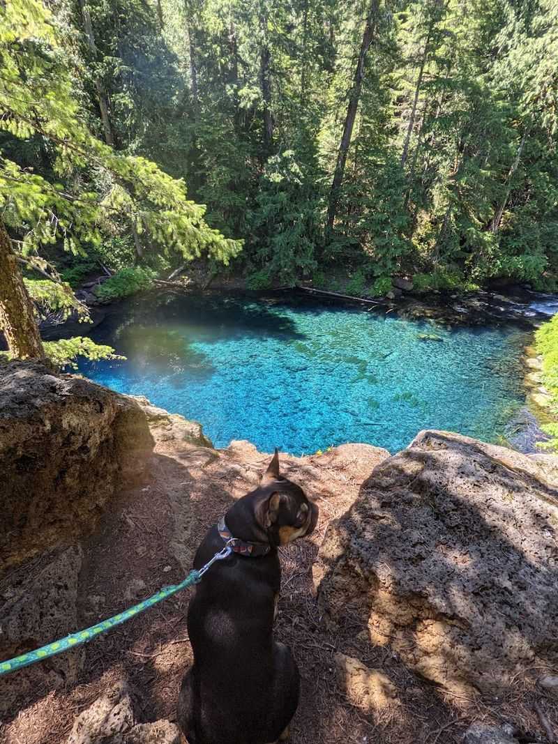 Tamolitch Blue Pool, McKenzie River, Oregon