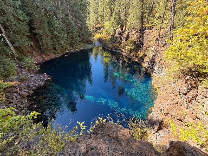 Tamolitch Blue Pool, McKenzie River, Oregon
