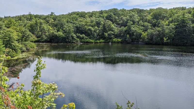 Terrace Pond Loop, Wawayanda State Park Terrace Pond Loop, Wawayanda State Park