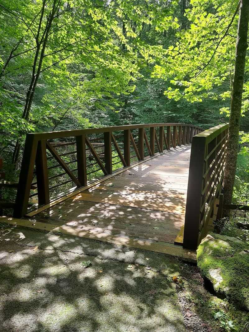 The 1.25-Mile Paved Interpretive Trail Through the Forest