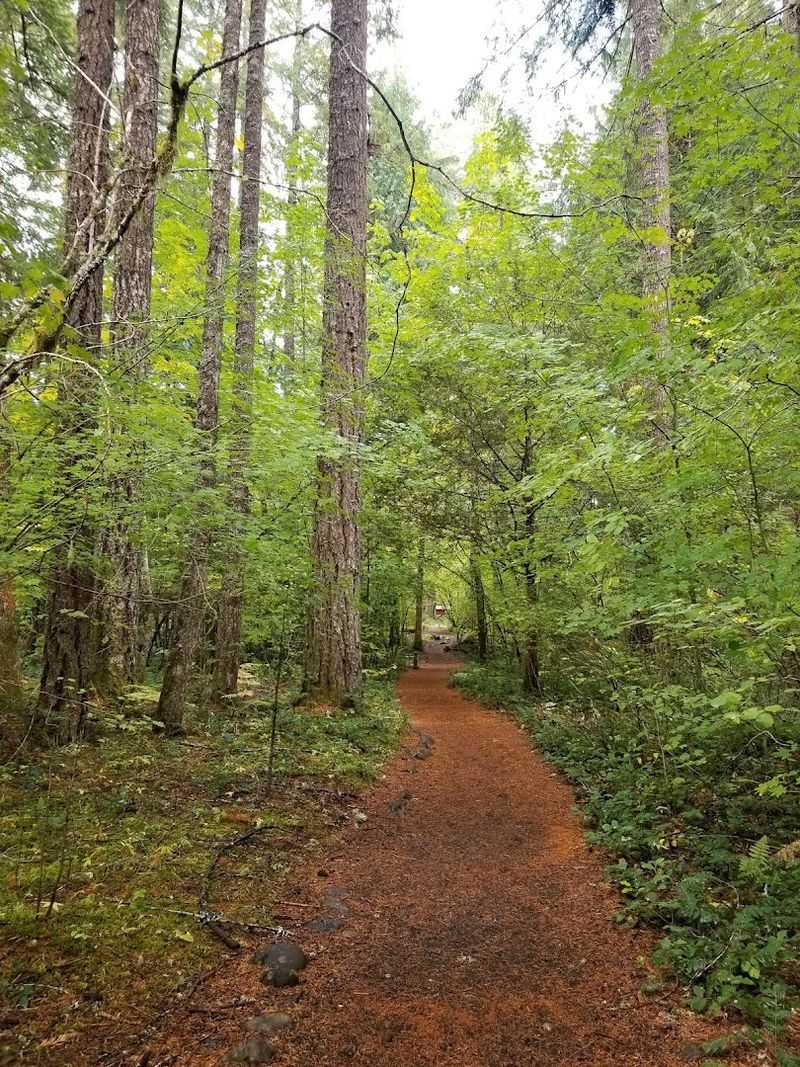 The 154-Acre Wildlife Sanctuary Surrounding the Retreat