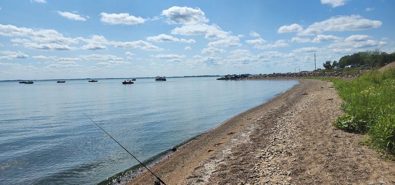 The 1930s: When the Lake Became a Pasture The 1930s: When the Lake Became a Pasture