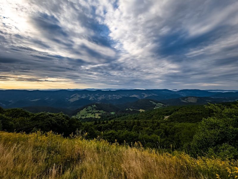 The 360-Degree View That Stops You Mid-Sentence