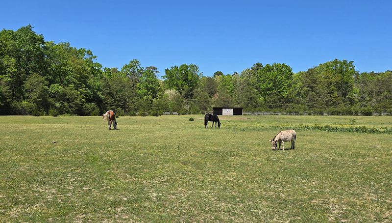 The 43-Acre Sanctuary That Started With a Dream The 43-Acre Sanctuary That Started With a Dream