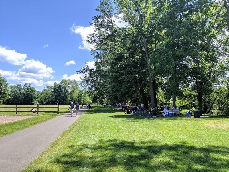 The Accessible Picnic Areas That Make Outdoor Dining a Real Pleasure