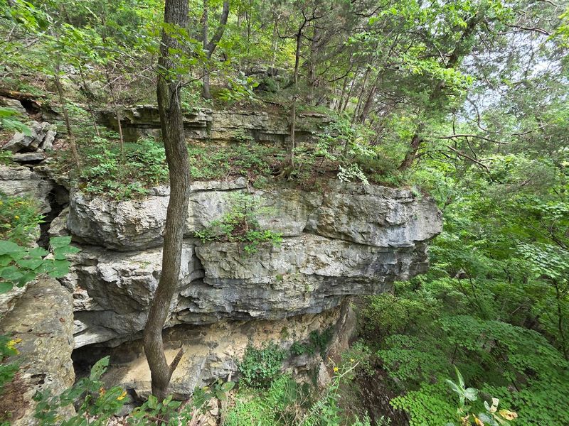 The Adventure Trail at O'Bannon Woods State Park The Adventure Trail at O'Bannon Woods State Park