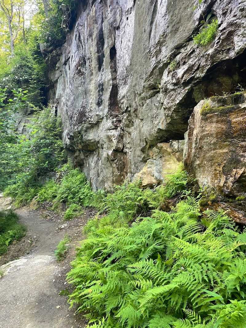 The Alum Cave Trail