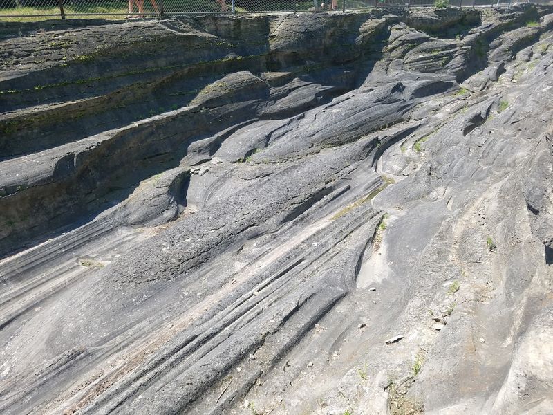 The Ancient Limestone Beneath Your Feet Is 400 Million Years Old