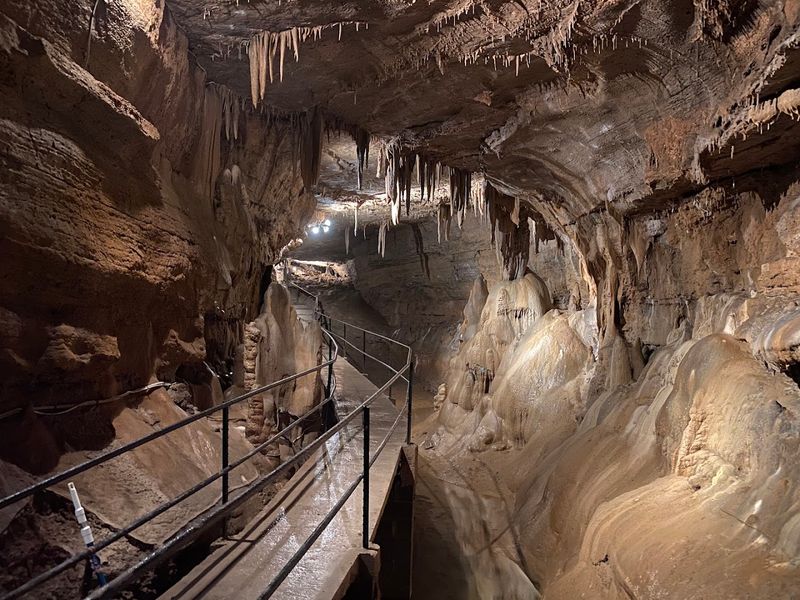 The Ancient Limestone Origins of Seneca Caverns