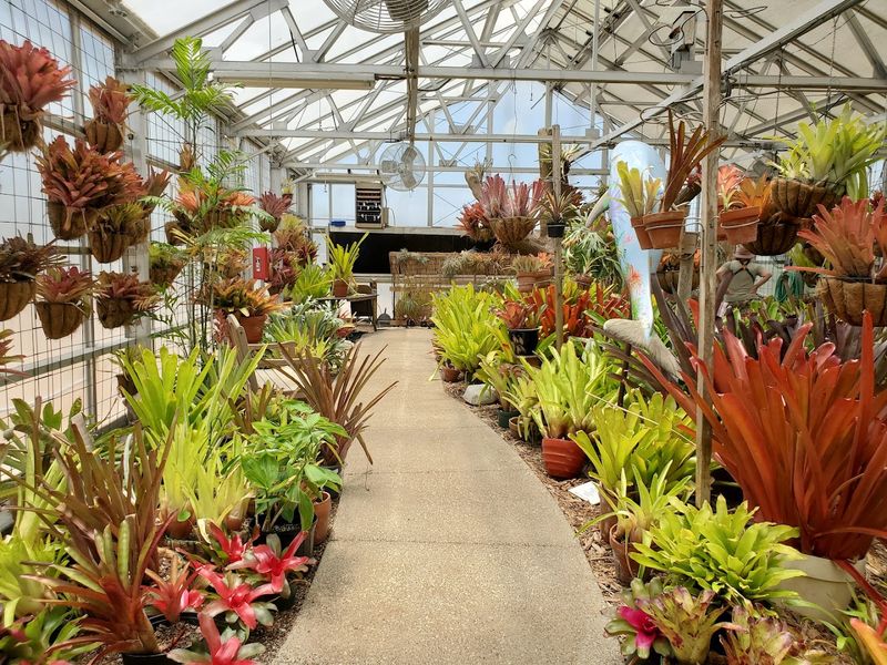 The Anderson Bromeliad Conservatory