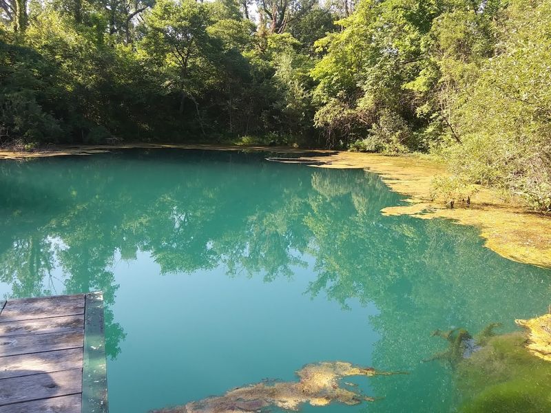 The Anoxic Water Chemistry That Keeps Fish Out of the Pool