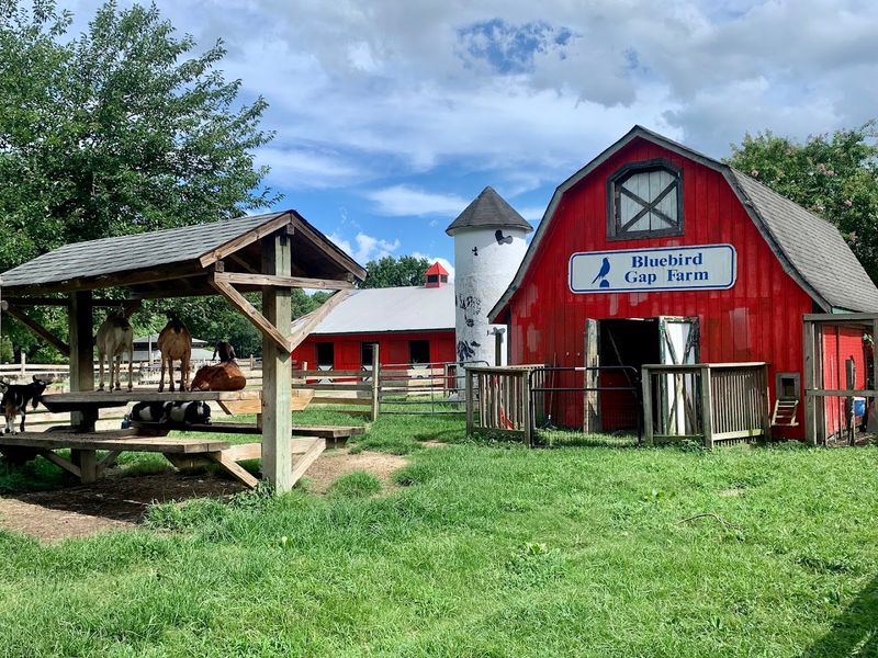 The Antique Barn Full of Fascinating Old Farm Relics